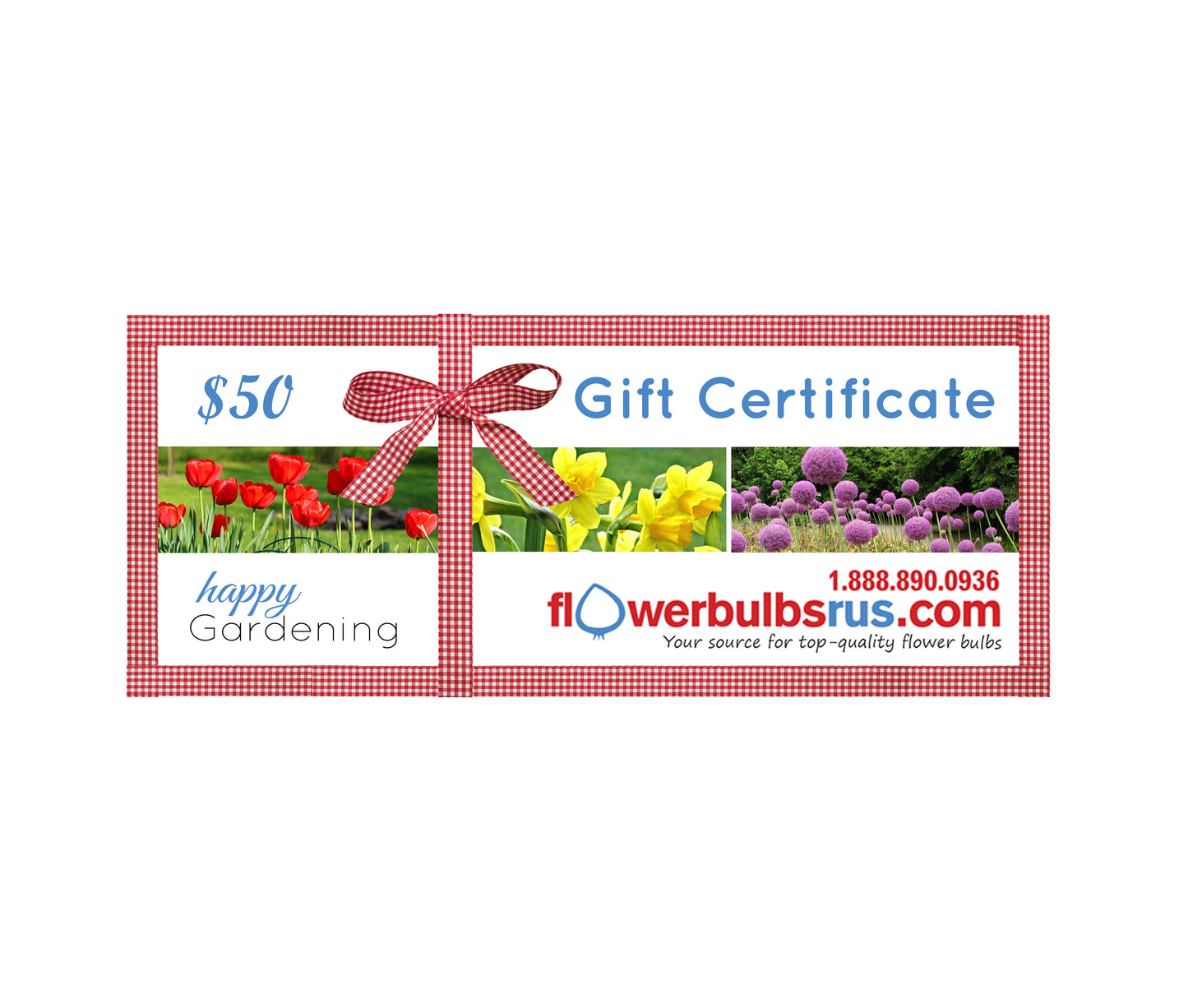 Flowerbulbsrus Gift Certificate