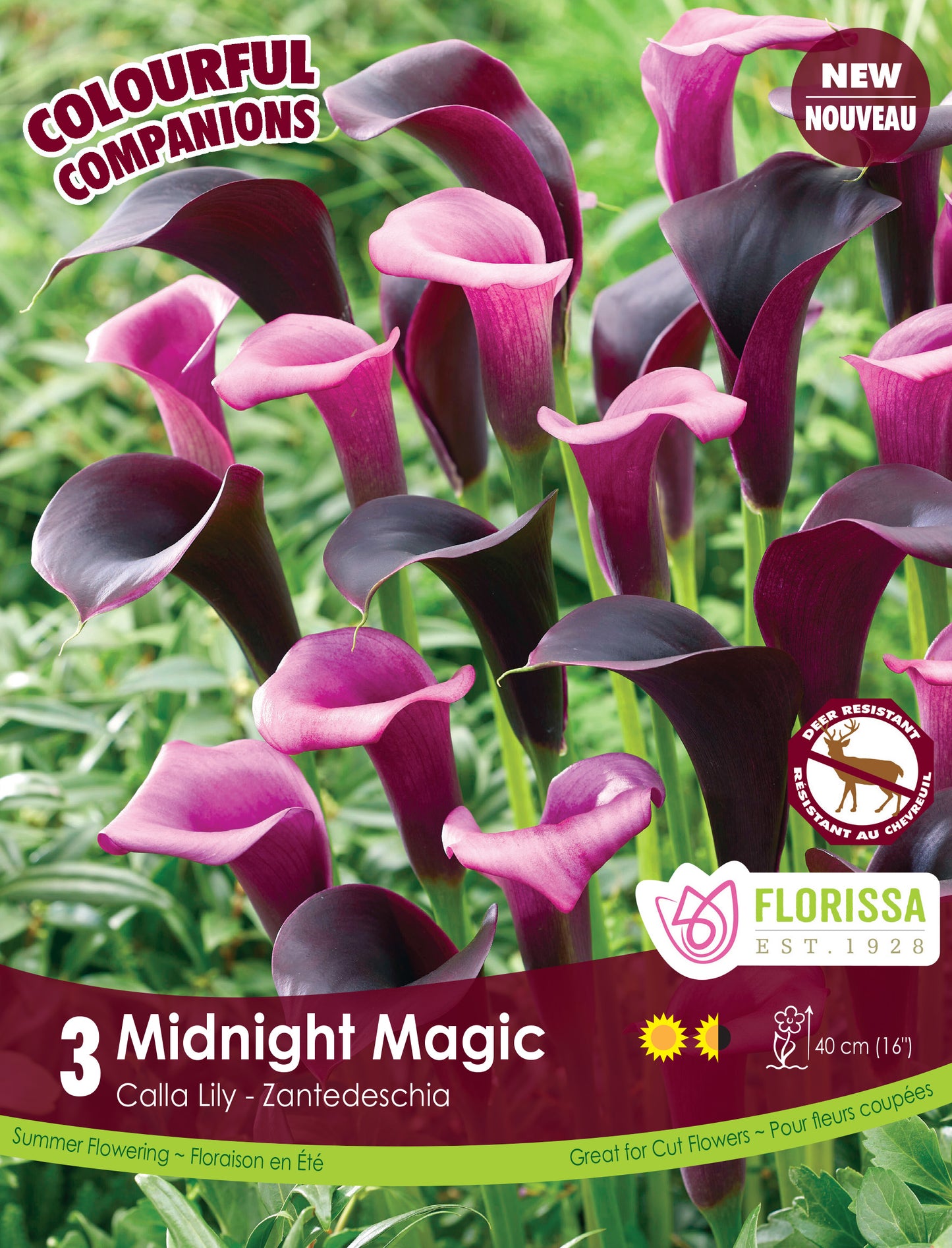 Calla Mix Midnight Magic 3 per Pkg