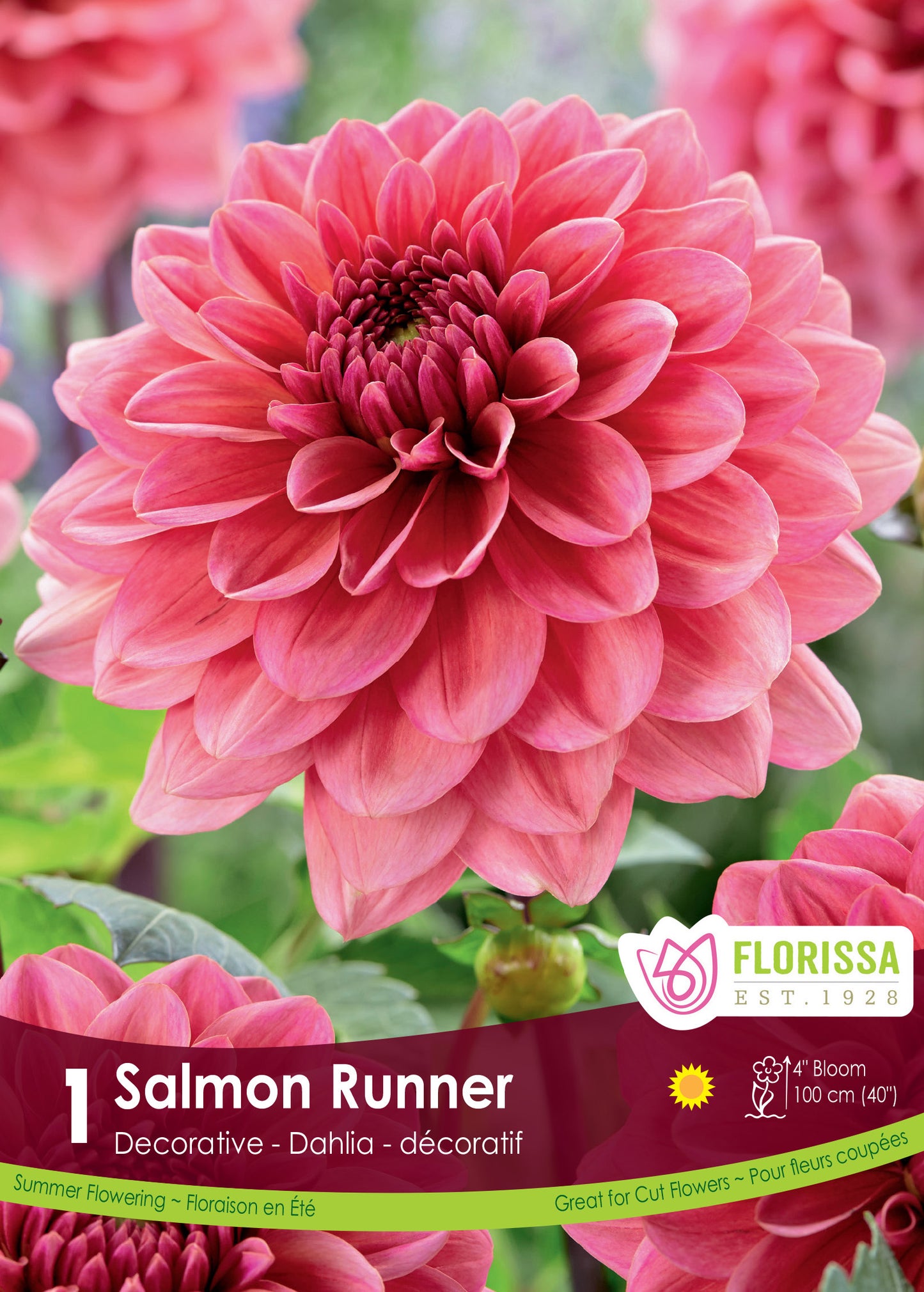 Dahlia Decorative Salmon Runner