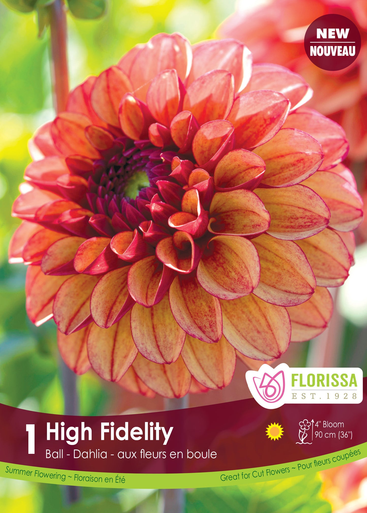 Dahlia High Fidelity-New