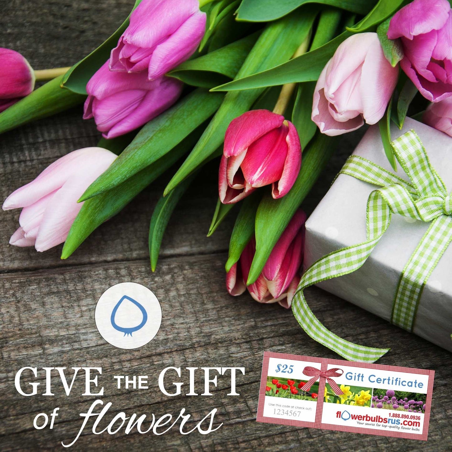 Flowerbulbsrus Gift Certificate