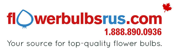 Flowerbulbsrus.com