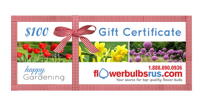 Flowerbulbsrus Gift Certificate