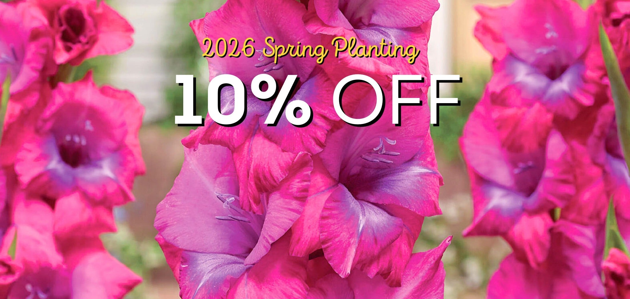 Pink flowers with promotional text for 2026 Spring Planting and a 10% discount.