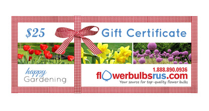 Flowerbulbsrus Gift Certificate