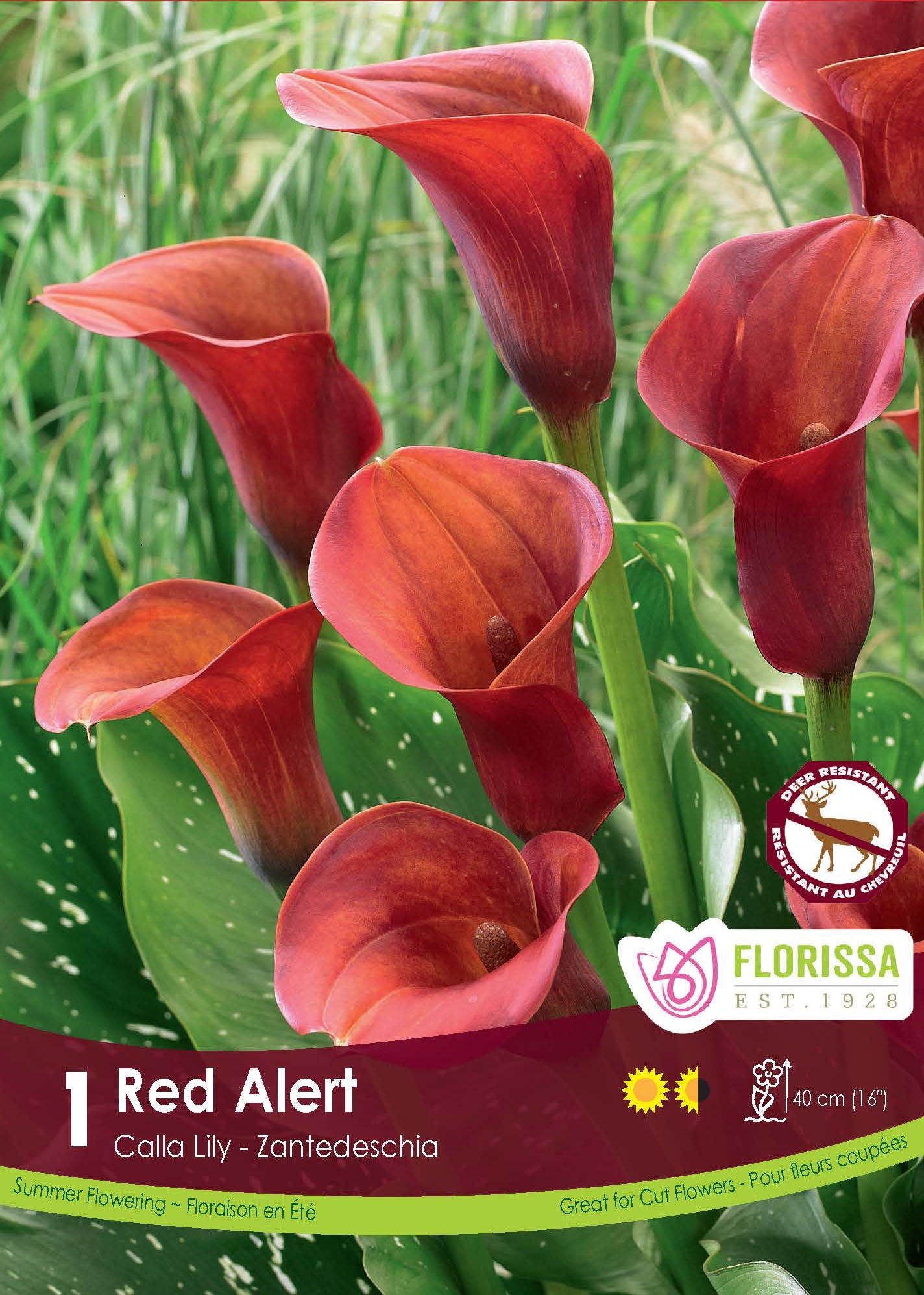 Calla Red Alert