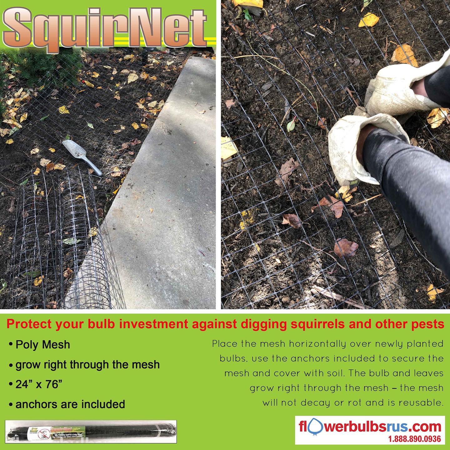 SquirNet - Protect your bulbs! - Flowerbulbsrus.com