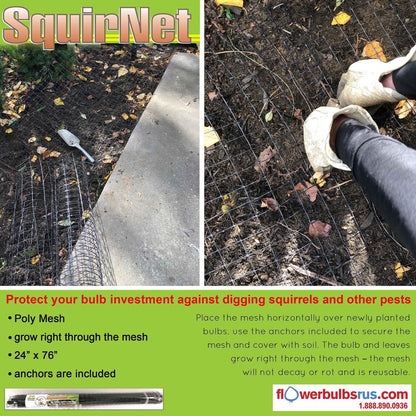 SquirNet - Protect your bulbs! - Flowerbulbsrus.com
